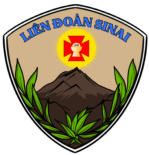 LD Sinai Logo